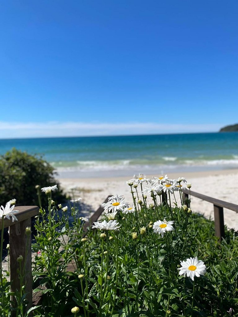 Seu Refúgio em Bombinhas: Churrasco com Vista